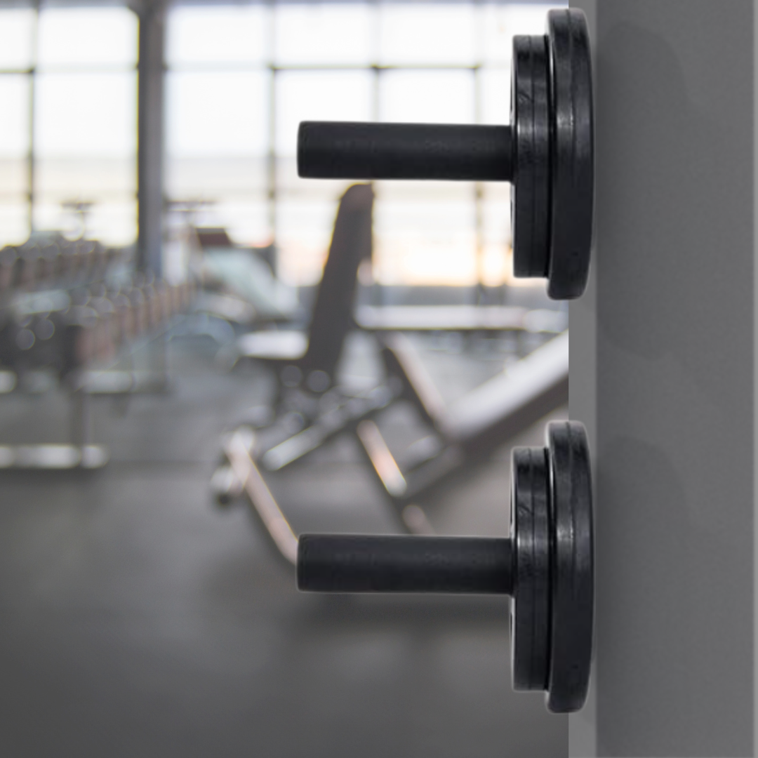 Wand-Aufbewahrungsstift (Aufbewahrung für Hantelscheiben 50 mm)