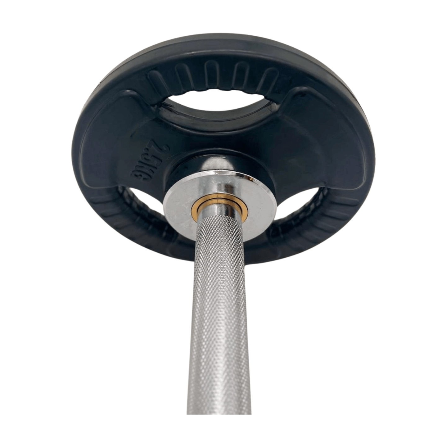 Olympische Kurzhantelstange mit 25-kg-Scheibe, ideal für Krafttraining und Fitnessübungen.